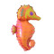 Sea Horse Ocean Animals Under the Sea Theme